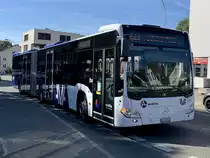 MB C2 G '11733'  AG 438 015  vom PU Wicki Transport, Zufikon am 18.10.21 bei der Ankunft beim Bahnhof Bremgarten.