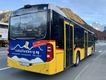 Heckansicht des MB C2 hybrid '11685' der PostAuto Regie Interlaken am 7.11.21 nach der Abfahrt an der Haltestelle Wilderswil, Oberland Shopping.