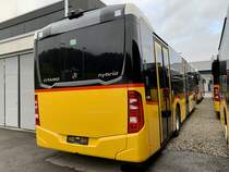Heckansicht des MB C2 hybrid '11794' für die PostAuto Regie Gelterkinden am 13.11.21 bei Evobus Winterthur.
