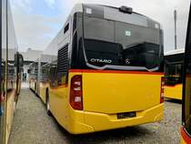 Heckansicht des neuen MB C2 G '11710' für den PU Steffen Bus, Remetschwil am 13.11.21 bei Evobus in Winterthur.