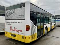 Heckansicht des MB Citaro Nr. 6 der VBD am 13.11.21 bei Evobus Winterthur.