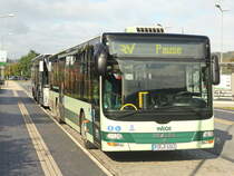 MAN NÜ323 Lion`s City Ü am Bahnhof Bad Schandau zur Pause am 16. Oktober 2021.