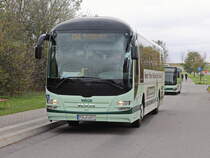 Am Parkplatz zur Bastei  in Lohmen steht am 23. Oktober 2021 ein  MAN ÜL324 Lion`s Regio auf der Linie 254 nach Bad Schandau.

 