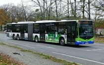 Regiobus Potsdam-Mittelmark ''PlusBus XXL'' / Mercedes-Benz MB CapaCity GL / PM-RB 165, auf der Linie 601 durch Teltow im November 2021.