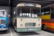 Setra S 125, Bj. 1966, Neu-Ulm Dezember 2021