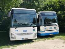 Iveco Crossway und Irisbus Crossway der MVVG in Neustrelitz am 19.06.2019