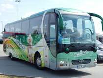 MAN Lion's Star von Fahrschule Herrl aus Deutschland an der Raststätte Demminer Land am 19.07.2019