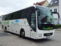 MAN Lion's Coach von Michael Reisen aus Deutschland in Neubrandenburg am 18.08.2019