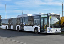 MB Citaro O 530 CNG  Bio-Erdgas , RVK K-ZY 240 in Euskirchen - 13.02.2022