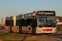 Stadtwerke Neuss 244, C2 G Baujahr 2021, auf der Linie 841 nach Düsseldorf Handweiser über Norf, Innenstadt und Furth, 28. Februar 2022, Am Linckhof, Allerheiligen, Neuss