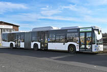 MB Citaro O 530 CNG, Bio-Erdgas, RVK K-ZY2304 in Euskirchen - 13.02.2022