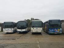 MAN Lion's Regio und MAN ÜL 313 und Irisbus Crossway der MVVG in Burg Stargard am 14.10.2019