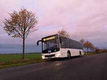 MAN Lion's City LE Ü der MVVG in Rosenhagen am 14.10.2019