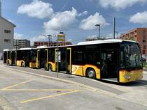 Die beiden MB C2 hybrid '11678' und '11558' vom PU Wieland Bus, Murten am 14.5.22 in Düdingen.