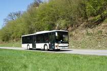 Bus Rheinland-Pfalz: Setra S 315 NF (KH-RH 576) der Rudolf Herz GmbH & Co. KG, aufgenommen im April 2022 in der Nähe von Herrstein, einer Ortsgemeinde im Landkreis Birkenfeld.