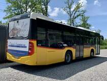 Heckansicht des MB C2 K '10120' der Postauto Regie Laupen, ex PU Thepra, Stans, am 14.5.22 bei der Garage in Laupen.