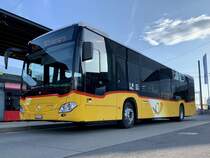 MB C2 hybrid '11460' der Postauto Regie Laupen am 17.5.22 beim Bahnhof Brünnen Westside.