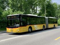 MAN Lion's City G Nr. 6 '10774'  BE 32717  vom PU SteinerBus AG, Ortsschwaben am 19.5.22 auf der Eymattstrasse zwischen Hinterkappellen und Bethlehem.