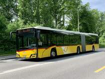 Solaris Urbino 18 Nr. 21 '11206'  BE 344 334  vom PU SteinerBus AG, Ortschwaben am 19.5.22 auf der Eymattstrasse zwischen Hinterkappellen und Bethlehem.