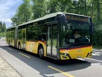 Solaris Urbino 18 '11243'  BE 562 243  der Postauto Regie Bern am 19.5.22 auf der Exmattstrasse zwischen Bethlehem und Hinterkappellen.