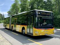 MAN Lion's City G Nr. 7 '10697'  BE 78878  vom PU SteinerBus, Ortschwaben am 19.5.22 auf der Eymattstrasse zwischen Bethlehem und Hinterkappellen.
