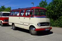 Mercedes O 319, Mai 2022 beim 8. Oldtimerbustreffen in Bad Mergentheim