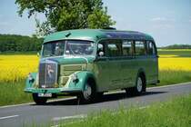 Mercedes O 3500 Bj. 1953  Turck Halver , Mai 2022 beim 8. Oldtimerbustreffen in Bad Mergentheim