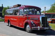 Mercedes O 3500 mit Voll-Aufbau Bj. 1952  Schmiechtal - Fuchs , Mai 2022 beim 8. Oldtimerbustreffen in Bad Mergentheim