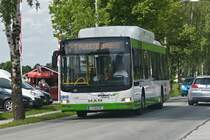 MAN Lion's City CNG von Albus Salzburg (Bus L1577, S-646SP) als Linie 21 bei der Haltestelle Salzburg Firmianstraße. Aufgenommen 1.6.2022.