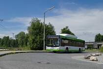 MAN Lion's City CNG von Albus Salzburg (Bus L1585, S-408TZ) als Linie 21 an der Haltestelle Bergheim S-Bahn. Aufgenommen 1.6.2022.