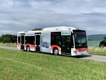 MB C2 NGT hybrid Nr. 26 der BGU am 8.6.22 zwischen Rüti b. Büren und Arch.