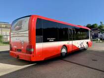 Heckansicht des MAN Lion's Regie ex 36 der SMC am 11.6.22 bei Evobus Winterthur.