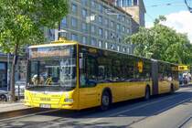 MAN Lion's City G  DVB , Dresden Juni 2022