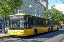 MAN Lion's City G  DVB , Dresden Juni 2022