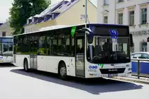 MAN Lion's City Ü  RVE , Annaberg-Buchholz Juni 2022