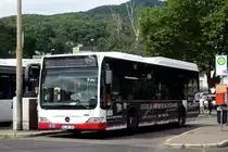 Mercedes Citaro II LE  Imfeld , Neustadt/Weinstraße Juli 2022