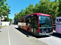das ist einer von sechs eCitaro der Stadtwerke Konstanz hier als Linie 5 nach Marktstäte / Bahnhof am 16.7.22 an der Haltestelle Rheinstrandbad 