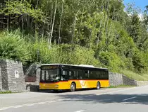 Regie Chur / St.Moritz. MAN Lion's City (GR 168'857) in Castasegna, Farzett. (15.8.2022)