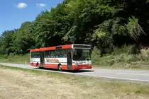 Bus Rheinland-Pfalz: Mercedes-Benz O 407 (BIR-WR 89) vom Omnibusbetrieb Westrich Reisen GmbH, aufgenommen im Juli 2022 in der Nähe von Herrstein, einer Ortsgemeinde im Landkreis Birkenfeld.