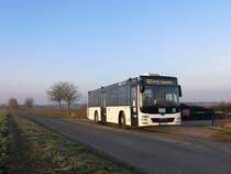 MAN Lion's City LE Ü der MVVG in Ballwitz am 15.03.2020