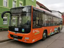 MAN Lion's City LE Ü der MVVG in Neubrandenburg am 12.05.2020