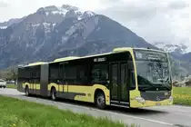 MB C2 G 163 der STI als Bahnersatz nach Interlaken Ost am 23.4.23 in Wilderswil.