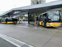 Die drei MB C2 K '10692', '10693' und '10694' vom PU Geissmann, Hägglingen die als Ortsbusse in Wohlen verkehren, am 25.4.23 auf dem Bushof in Wohlen.