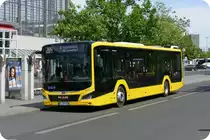 Schröder Reisen Langenau, mit dem MAN Lion's City Efficient Hybrid, Wagen '8640', hier auf der BVG OL 204 in Berlin -Zoologischer Garten, im Mai 2023.