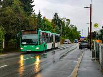 Graz. Wagen 51 der Graz Linien ist hier am 30.08.2023 in der Alten Poststraße zu sehen.