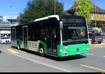 MBC - Mercedes Citaro Nr.334  VD 203373 unterwegs in Morges am 01.09.2023