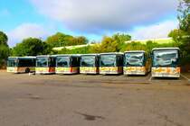 Rheingau-Taunus-Verkehrsgesellschaft IVECO Linienbusse am 23.09.23 in Johannisberg