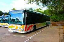 Rheingau-Taunus-Verkehrsgesellschaft IVECO Linienbus am 23.09.23 in Johannisberg
