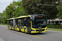 MAN Lions City Hybridbus 75 der AAGL, auf der Linie 81, fährt am 15.08.2023 zur Haltestelle beim Hammermann am Aeschenplatz.