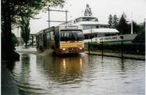 Aus dem Archiv: STI Thun Nr. 24/BE 419'024 Volvo/R&J (ex SAT Thun Nr. 24) am 14. Mai 1999 Thun, Rosenau (w�hrend dem Hochwasser in Thun)